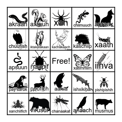 Karuk Language Animal Bingo Card