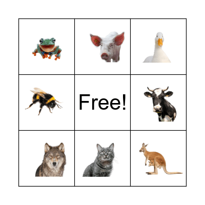 Animal Bingo Card