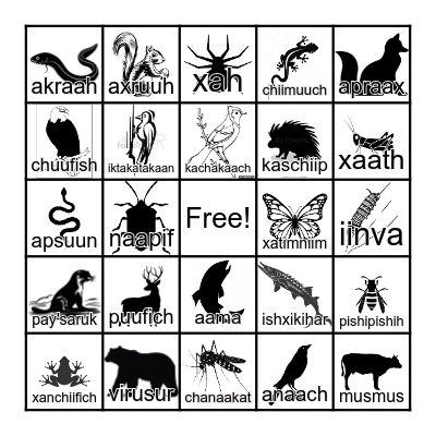Karuk Language Animal Bingo Card