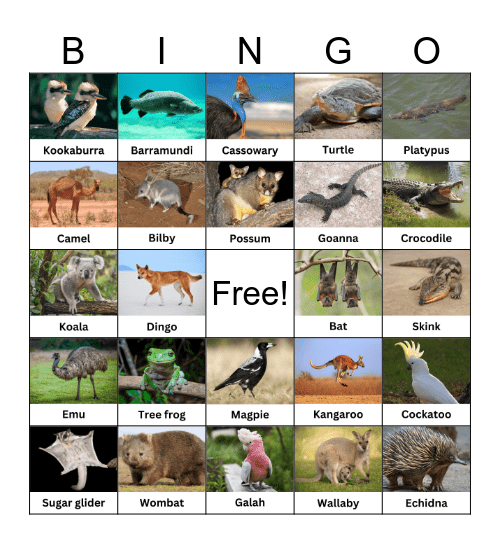 Australian Animals Bingo Card