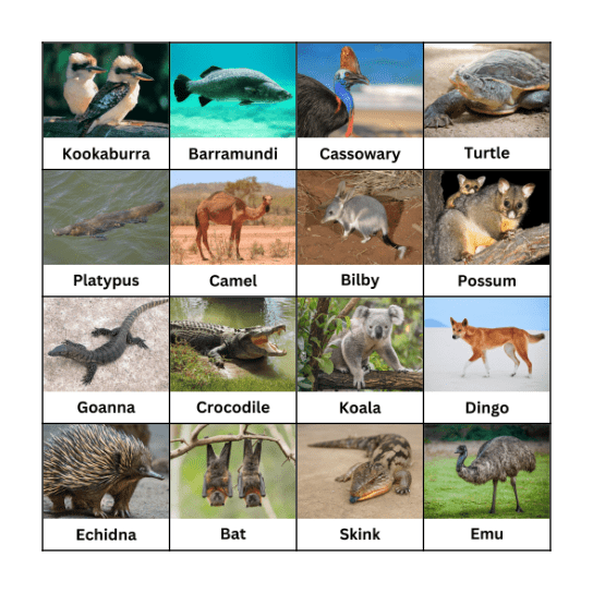 Australian Animals Bingo Card