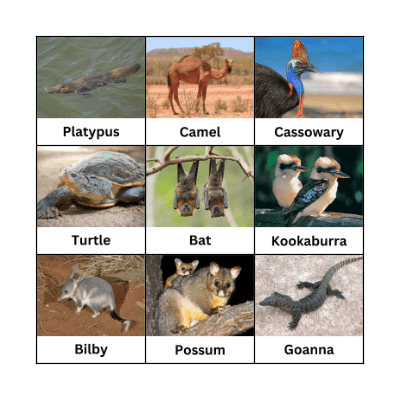 Australian Animals Bingo Card