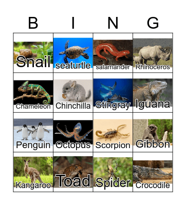 Animals Bingo Card