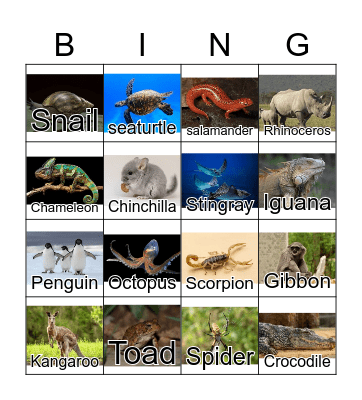 Animals Bingo Card