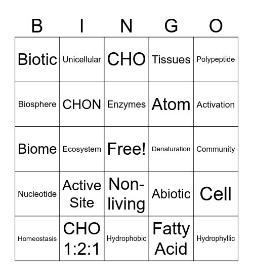 Unit 1 Bingo Card