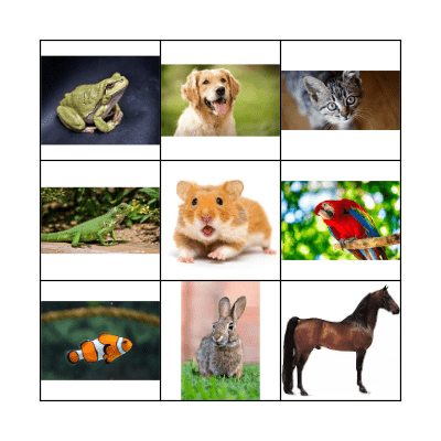 ANIMALS Bingo Card