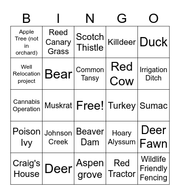 District Ops 101 Bingo Card