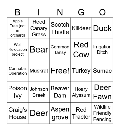 District Ops 101 Bingo Card