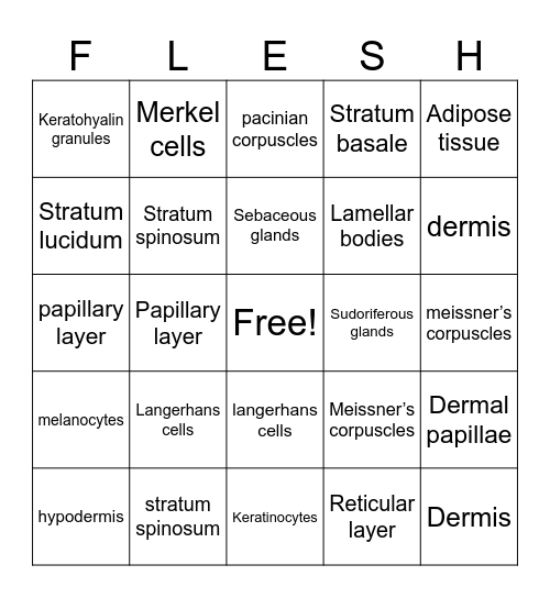 INTEGUMENTARY SYSTEM Bingo Card