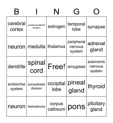 Brain and Body Bingo Card