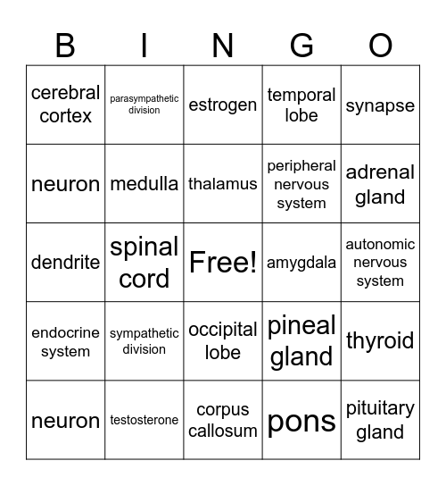 Brain and Body Bingo Card