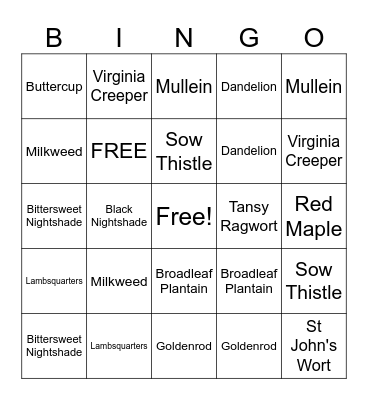 Weeds Bingo Card