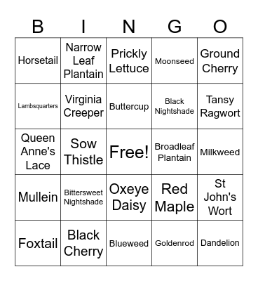 Weeds Bingo Card