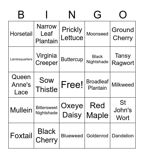 Weeds Bingo Card