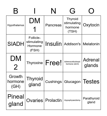 Endocrine System Bingo Card