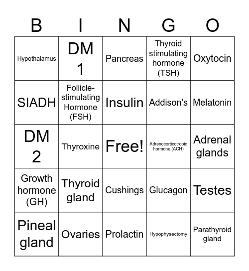 Endocrine System Bingo Card