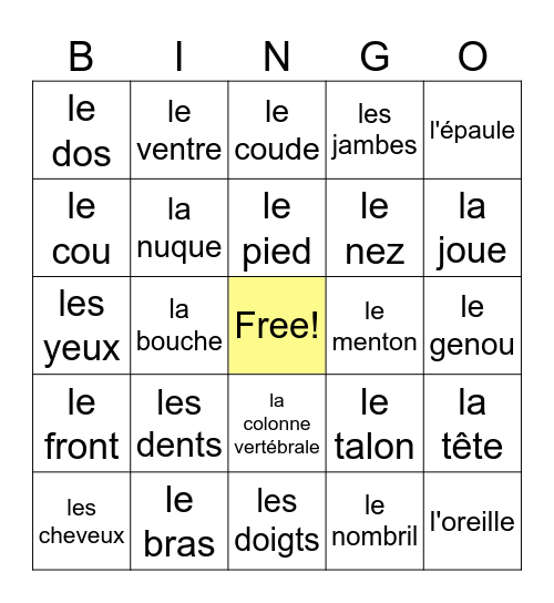 MSG French Body Parts Bingo Card