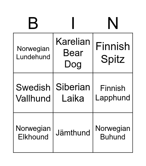 Dog Photography Bingo Card