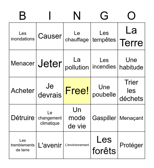 MSG L'environnement Bingo Card