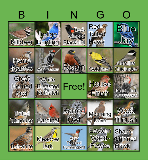 Bird Song Bingo Card