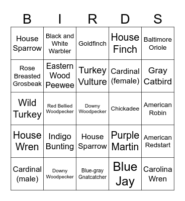 BIRD BINGO Card