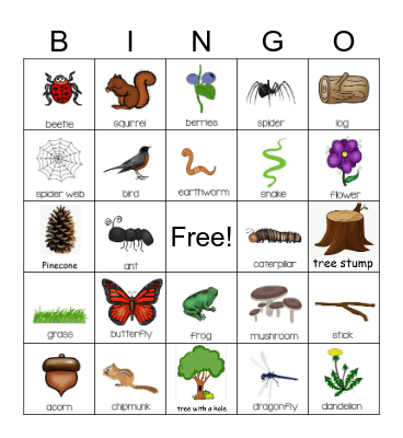 Nature Bingo Card