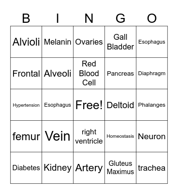 Anatomy and Physiology Bingo Card