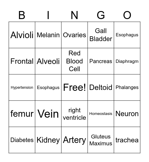 Anatomy and Physiology Bingo Card