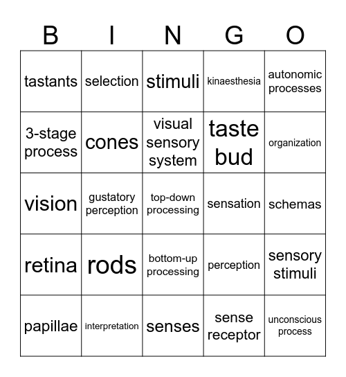 Sensation and Perception Bingo Card