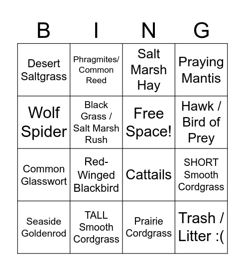 Salt Marsh Bingo Card