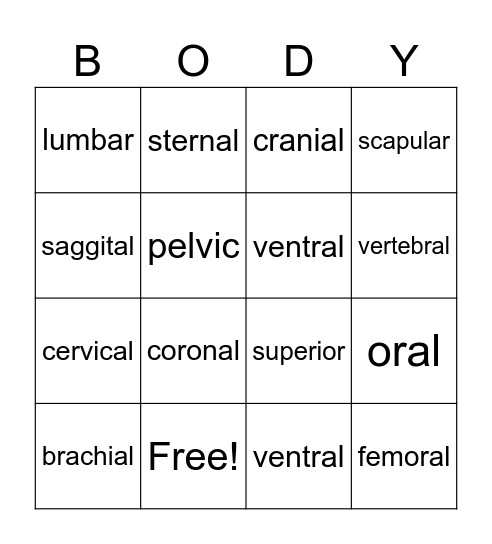 Anatomical Terminology Bingo Card