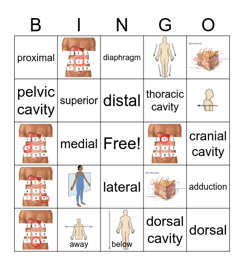 Final Exam Day #1 Review Bingo Card