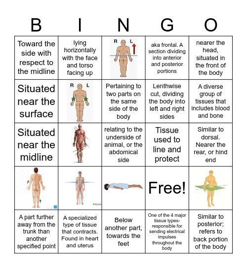 Anatomical Language Bingo Card