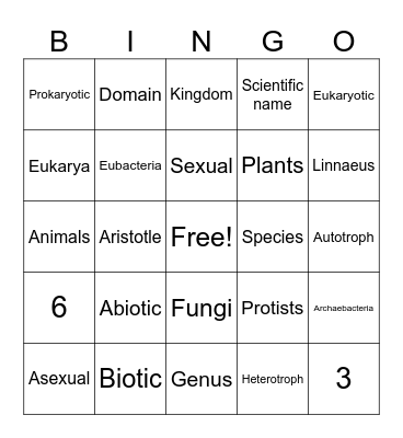 Classification Vocabulary Bingo Card