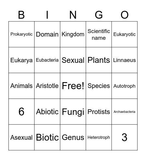 Classification Vocabulary Bingo Card