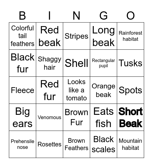 Animal Safari Bingo! Bingo Card