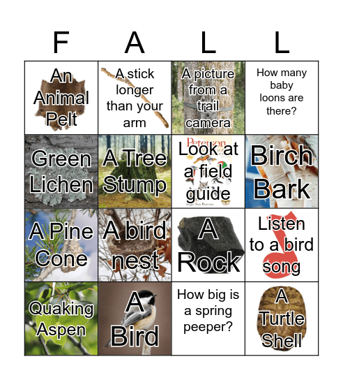 Fall at Chik Wauk Bingo Card