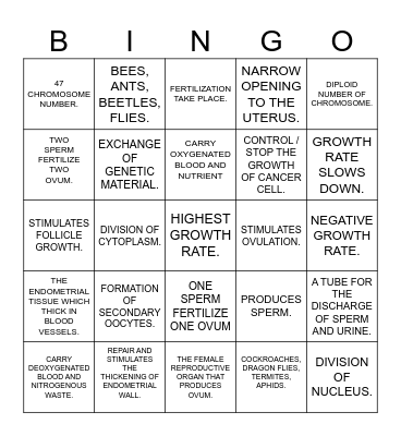 CHAPTER 15 FORM 4 Bingo Card