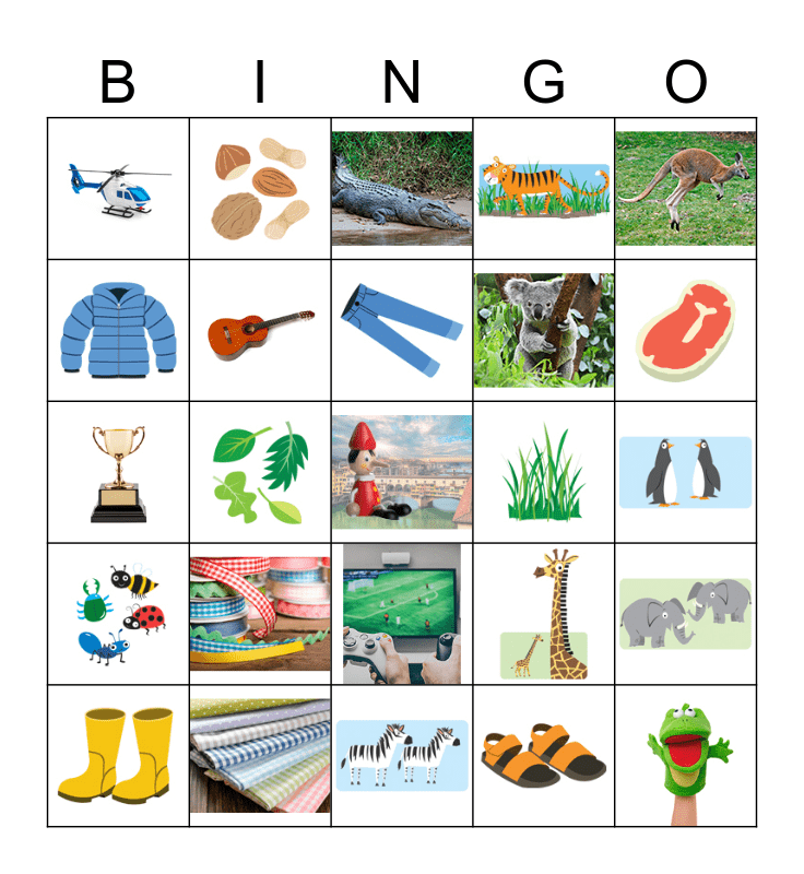 UNITS 5 AND 6 Bingo Card