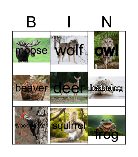 Forest Animals Bingo Card