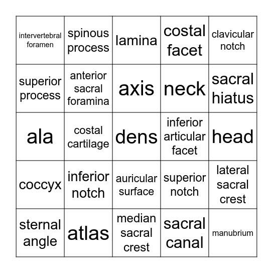 Vertebral & Thoracic Bingo Card