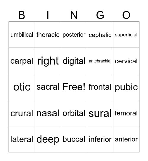 Directional Term Bingo Card