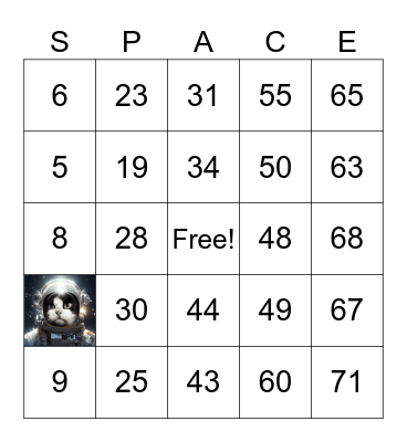 Space Bingo Card