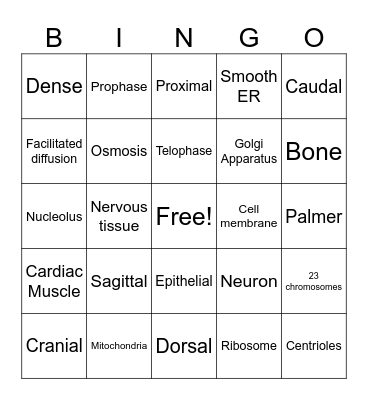1619 Cells and Tissues Bingo Card