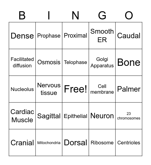1619 Cells and Tissues Bingo Card