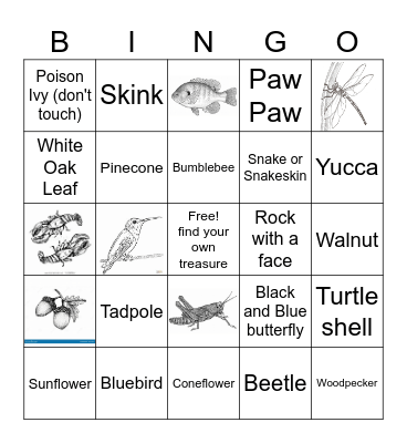 Nature Bingo Card