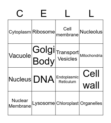 Cell Organelles and Parts Bingo Card