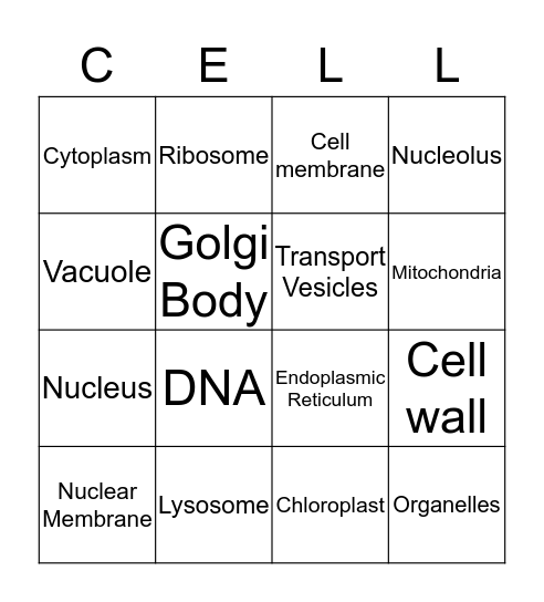 Cell Organelles and Parts Bingo Card