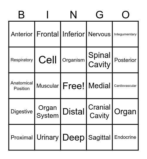 Intro to A&P Review Bingo Card