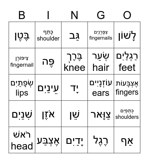 Body Parts - חֶלְקֵי גּוּף Bingo Card